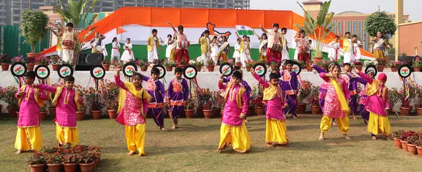 Students in colourful traditional costumes performing a folk dance at DPS (Mihan)